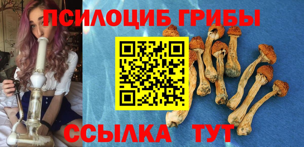 Псилоцибиновые грибы мухоморы  Вход с VPN  Галлюциногенные грибы ЛСД  Чита 