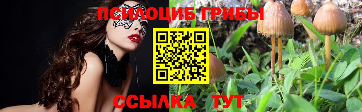 Галлюциногенные грибы GOLDEN TEACHER Чита